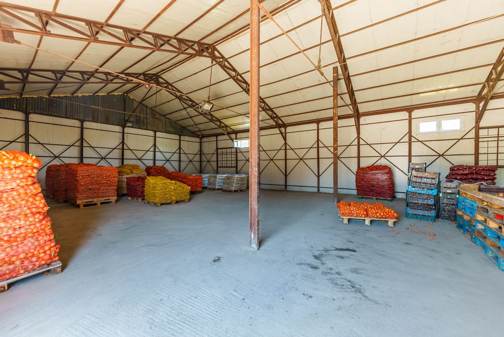 Hală frigo de vânzare în Săcălaz - Poză 2