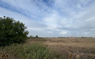 Teren parcelabil cu toate utilitatile 10.000 mp Moșnița Nouă – 18 €/mp - Poză 3