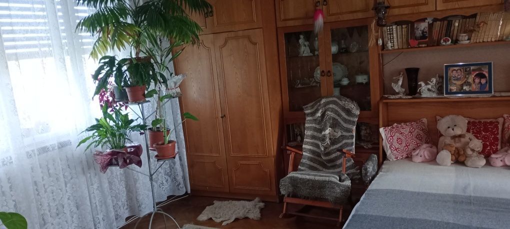 BRASADAS vinde ap 3 cam în casă - zona Botizului. - Poză 5