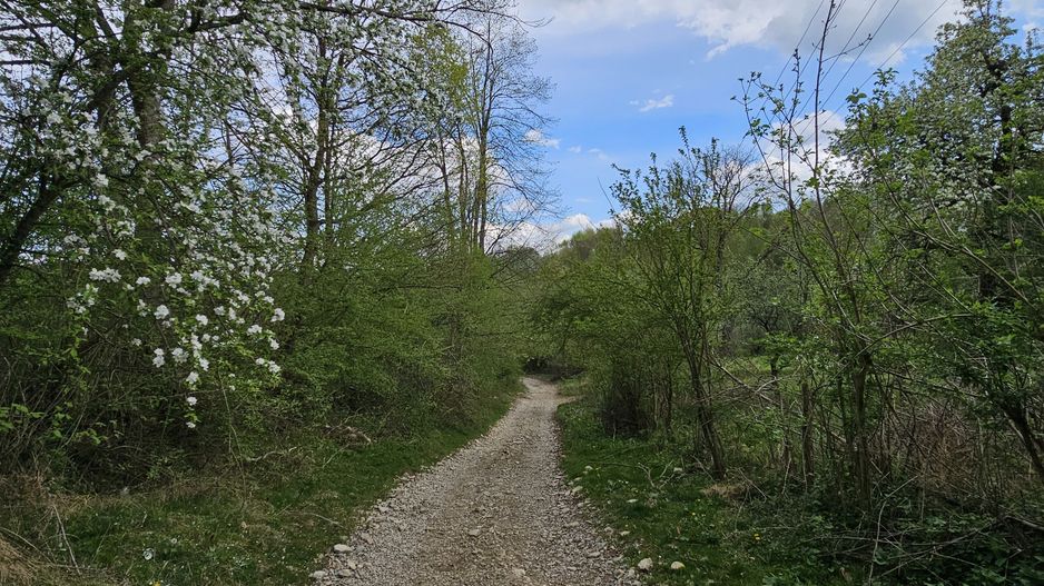 Teren intravilan 1454 mp la marginea padurii zona locuita de case! - Poză 15