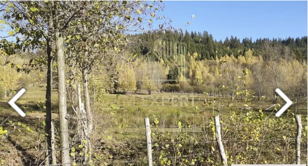 TEREN INTRAVILAN 2100 MP, LERESTI, PRET 42000 EURO - Poză 2