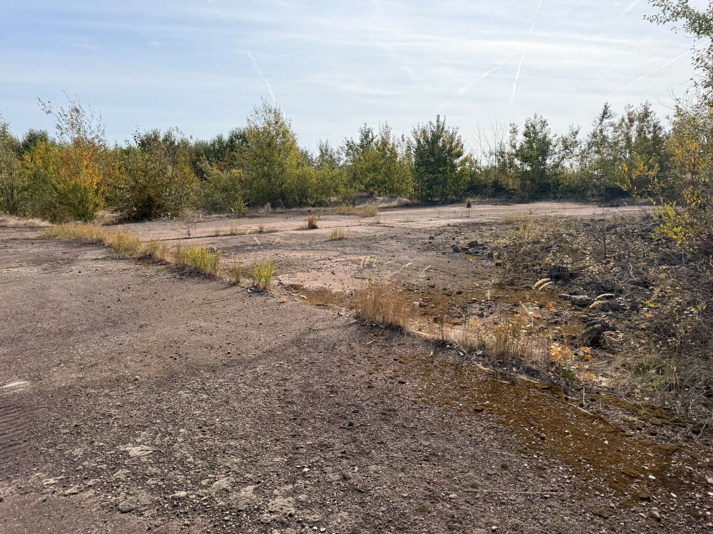 Platformă industrială 37,6 ha, Valea Călugărească cu proiect de racord feroviar - Poză 17