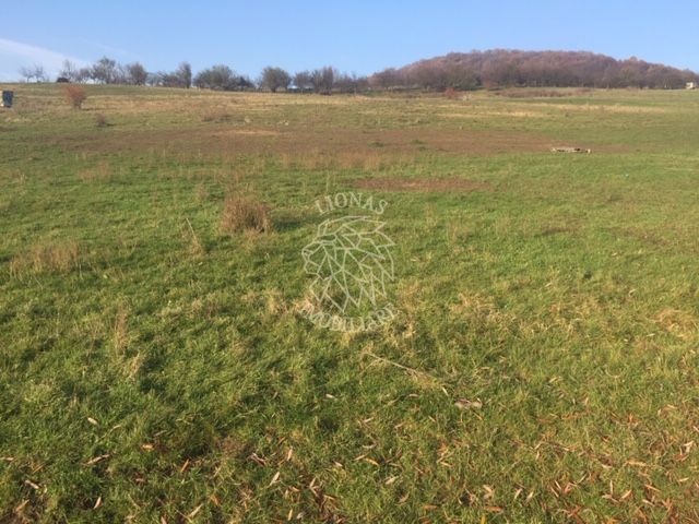 Parcele de 3000/5700 mp-investitie-Zona Subcetate-EXCLUSIVITATE - Poză 1