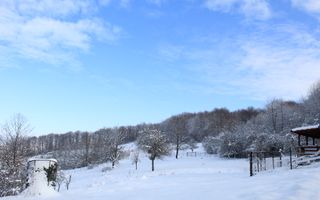 Proprietate rară | 4458 mp teren intravilan | Casă solidă, natură, liniște totală. | Bratca, Bihor. - Poză 50