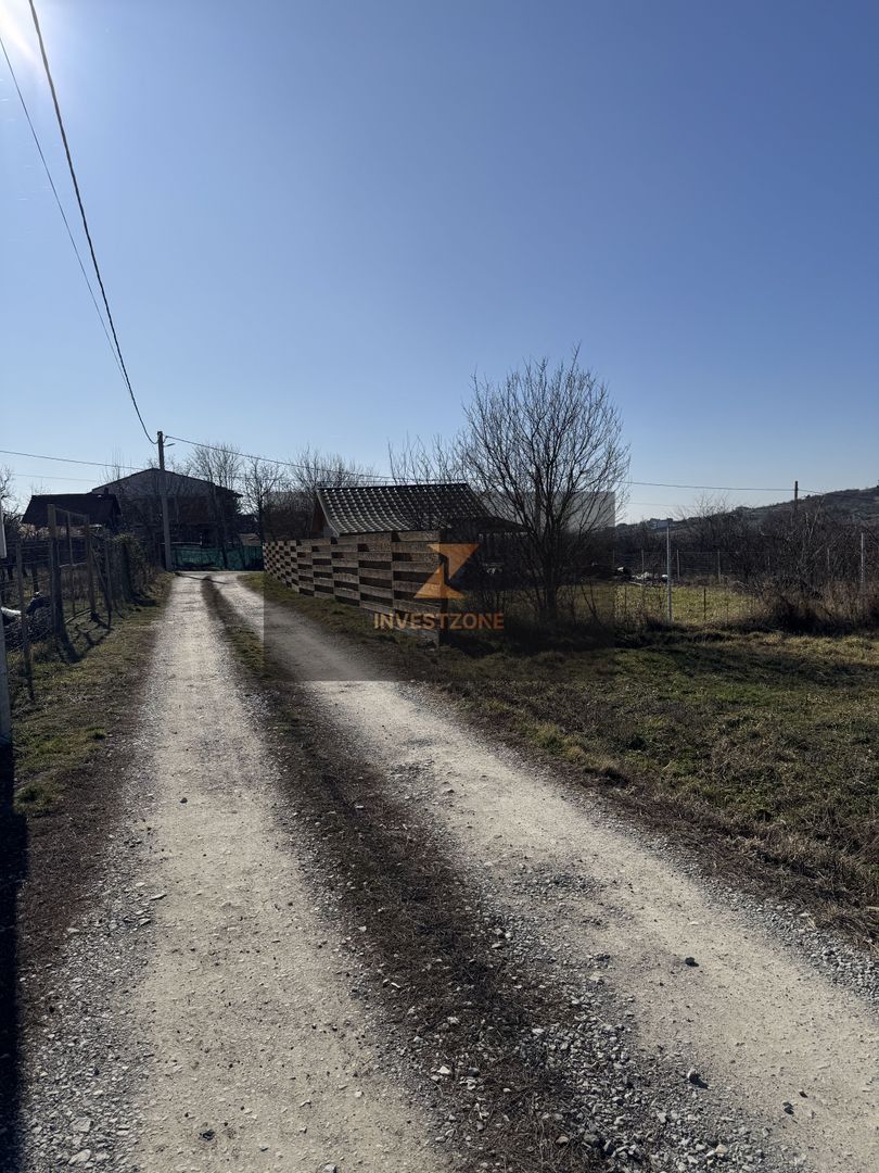 Teren intravilan Săldăbagiu De Munte - Poză 5