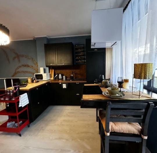 Apartament cu terasa si parcare,ultracentral ,str. Matei Voievod,finisaje de lux - Poză 4