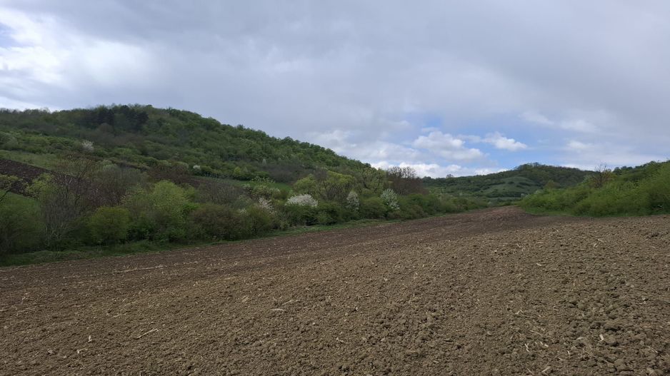 Teren extravilan arabil - Sibiu - Gusterland - Poză 4