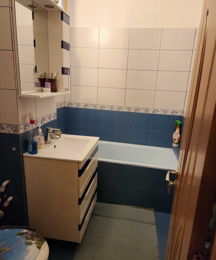 Apartament 3 camere Lujerului - Poză 7