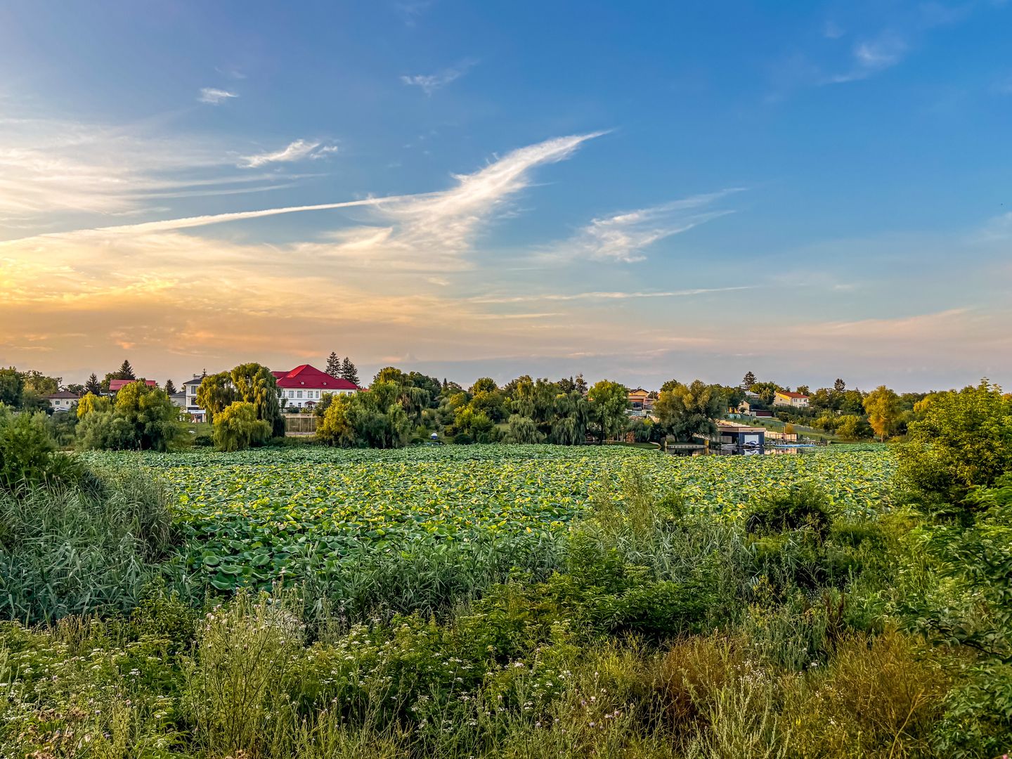 Teren Lacul Snagov 1.976 mp | 19,18 m front la lac | Vilă P+1 | 0% com - Poză 7