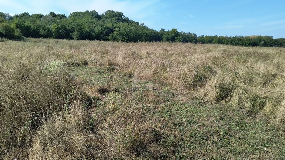 Teren intravilan investitie - Poză 6