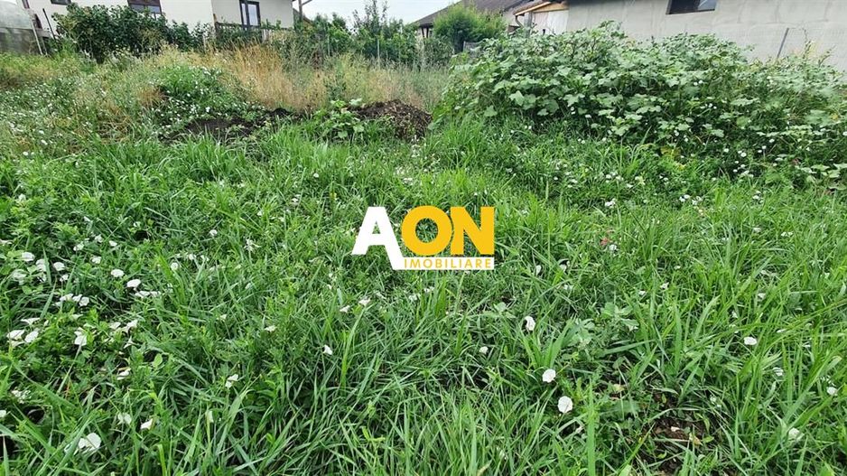Teren Intravilan Cu Toate Utilitatile 360MP - Poză 2