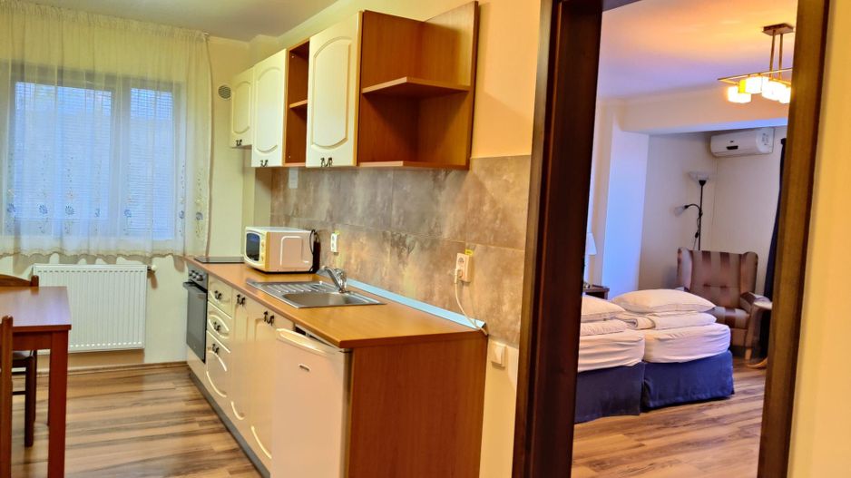 Apartament 1CAM 40 MP,  Buna Ziua, Str Trifoiului, parcare - Poză 2