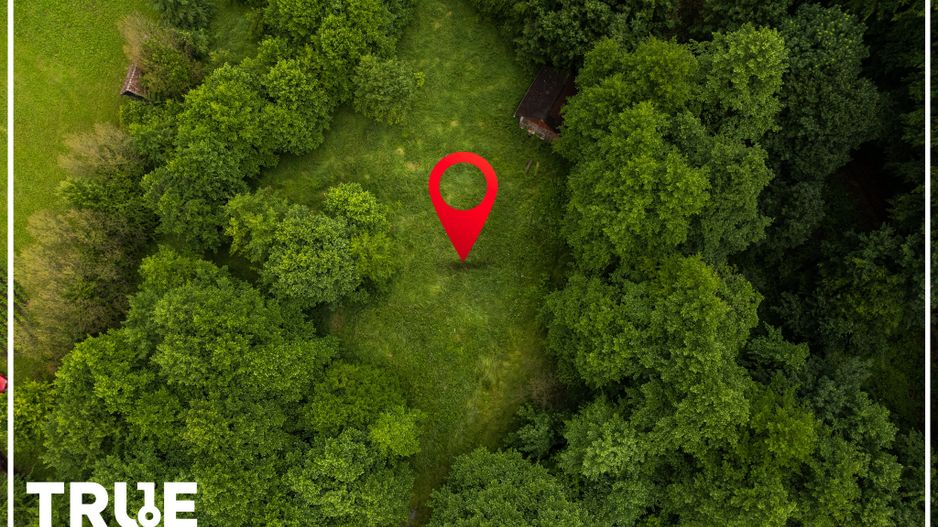 Teren intravilan 2.800 m² în Câmpu Cetății – liniște și natură - Poză 12