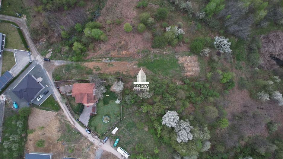 Teren intravilan 16 ari/panorama la tot orasul OCAZIE! - Poză 2
