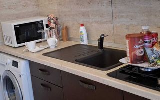 Apartament Modern | 1 camera | Terasa Generoasa | Iulius Mall | - Poză 5