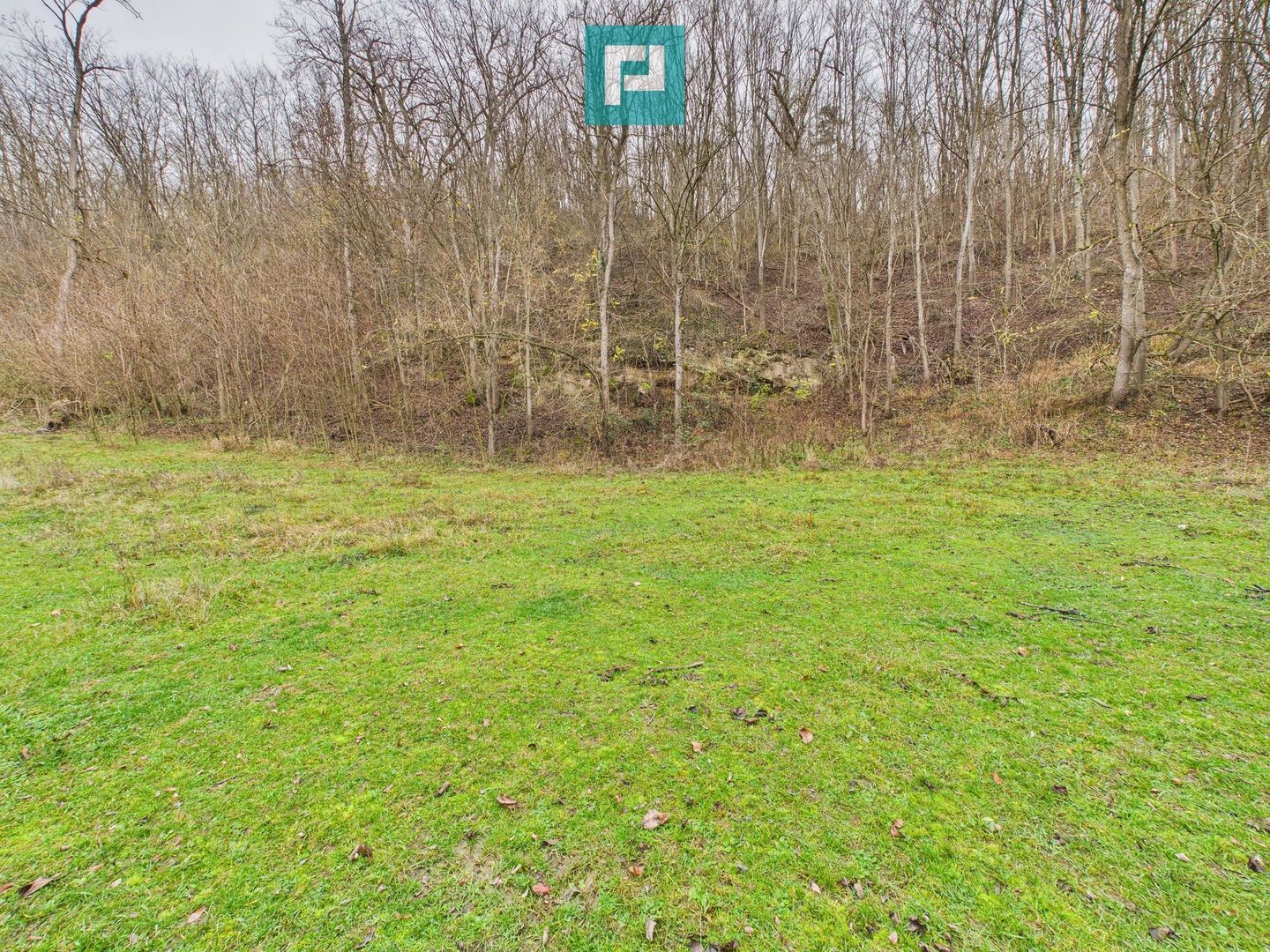 Casă cu teren de 24.679,73 mp, în Hălmagiu, Arad - Poză 25