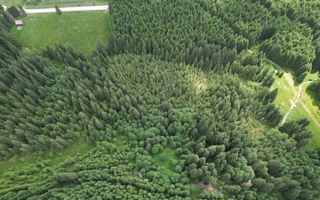 Teren extravilan 5000 MP Comandau - Poză 5