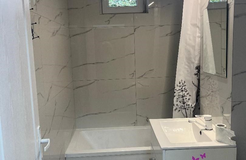 Apartament de inchiriat pe b-dul Dacia - Poză 10