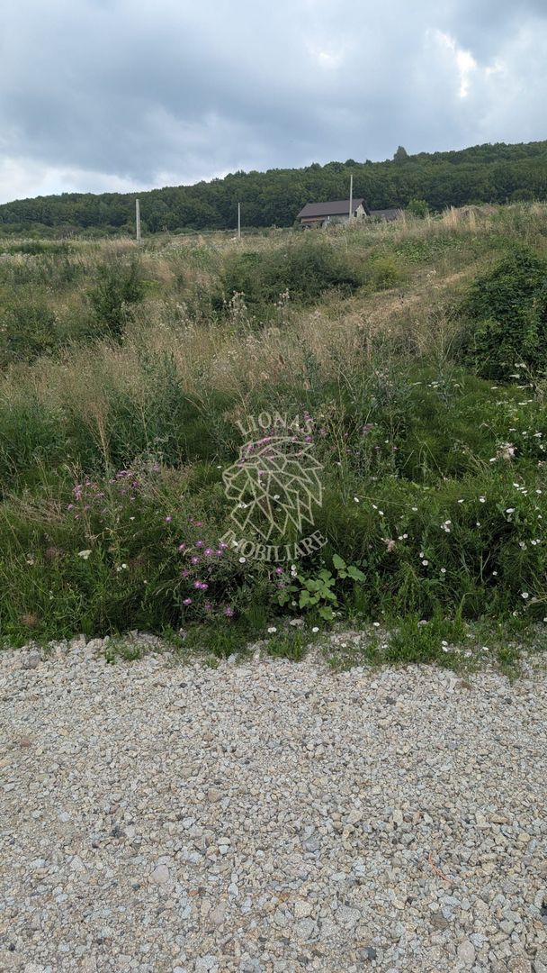 Teren 1000 mp cu utilitati-ideal casa, cabana, investitie-Dealul Jelnei - Poză 3