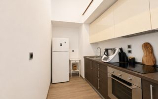 Apartament tip loft cu șemineu, situat în Silver Mountain Resort - Poză 9