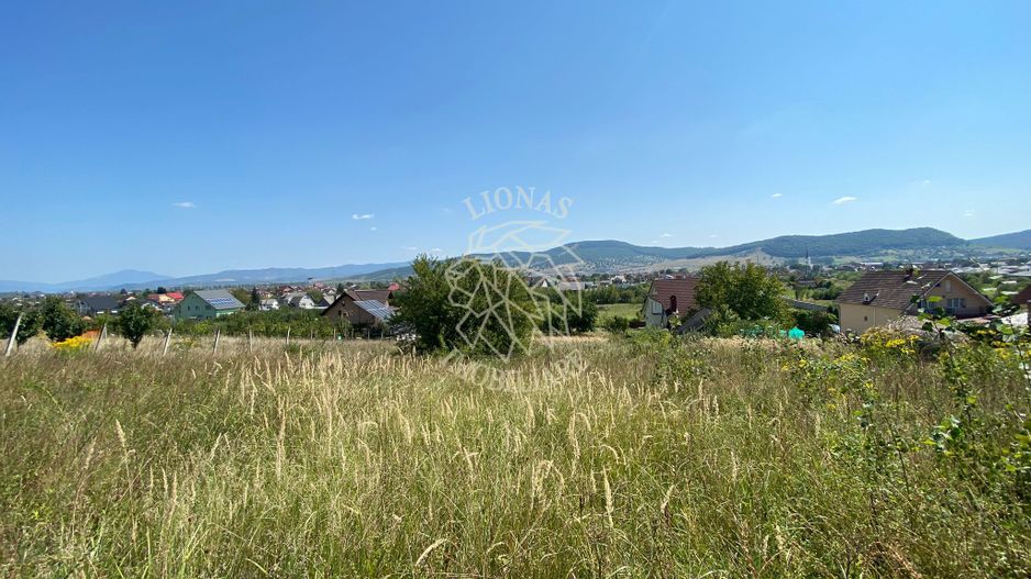 Teren intravilan 1300 mp-parcelabil-Viile cu Pomi-Unirea-Exclusiv - Poză 1