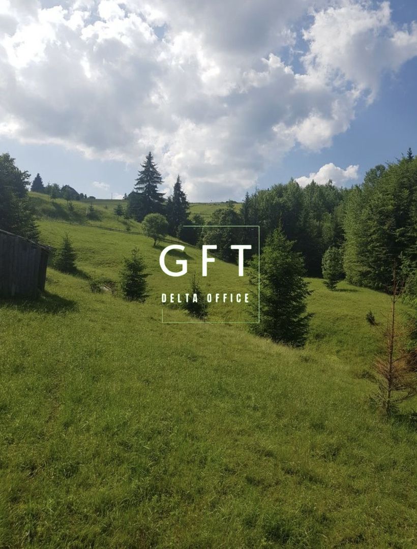TEREN+PADURE, PASUL TIHUTA - Poză 5