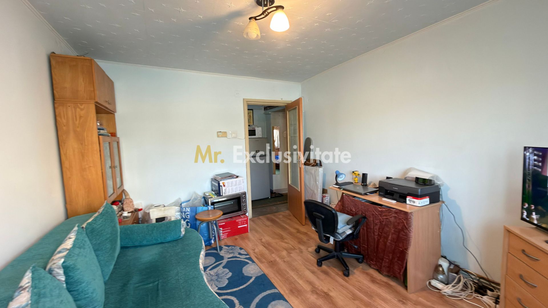 Apartament 2 camere Etaj I / C.A.Române - Carei / Zona Edex - Poză 3