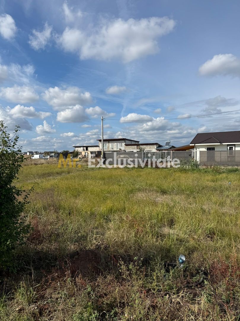 TEREN INTRAVILAN 3 LOTURI | 1.334 MP | BRADU | POTENȚIAL INVESTIȚIONAL - Poză 3