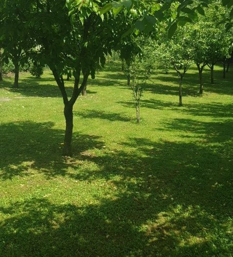 BRASADAS vinde casa cu 6 camere si teren 1200mp în Amati. - Poză 8