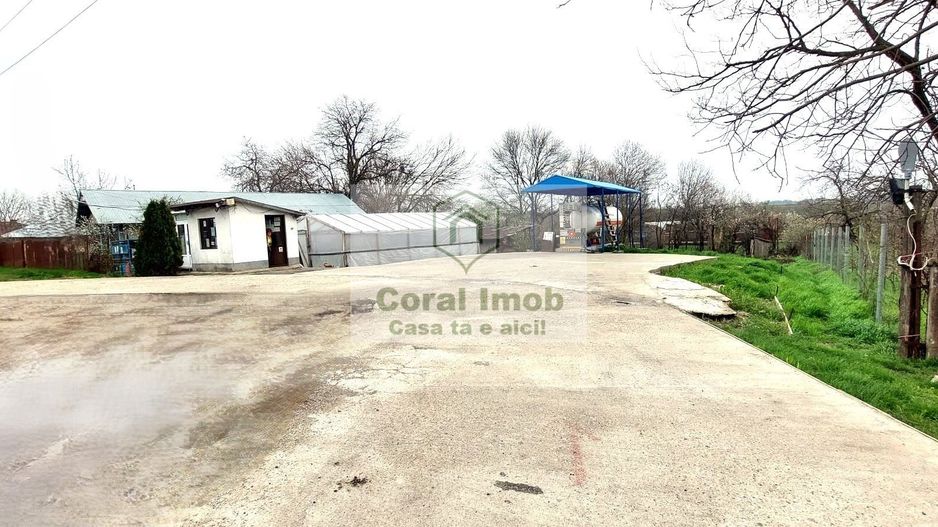 OPORTUNITATE Afacere la Cheie – Stație GPL Auto  Ghimpati, Giurgiu - Poză 4