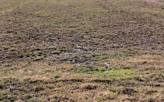 Teren intravilan de vanzare - Poză 1