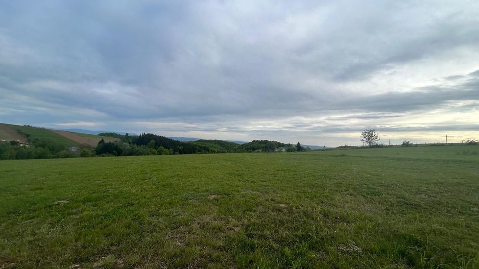 TEREN DE VANZARE IN SINTEU - Poză 1