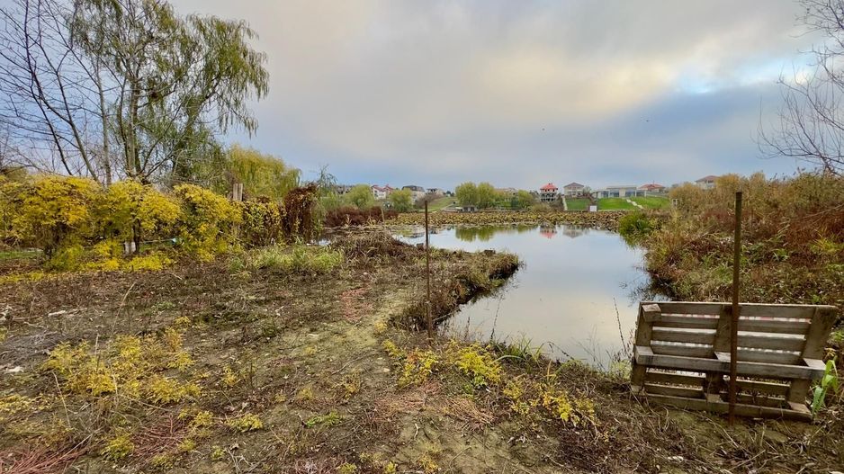 Teren Intravilan | Deschidere Lac Snagov | Ponton | Curatat | Toate utilitatile - Poză 5