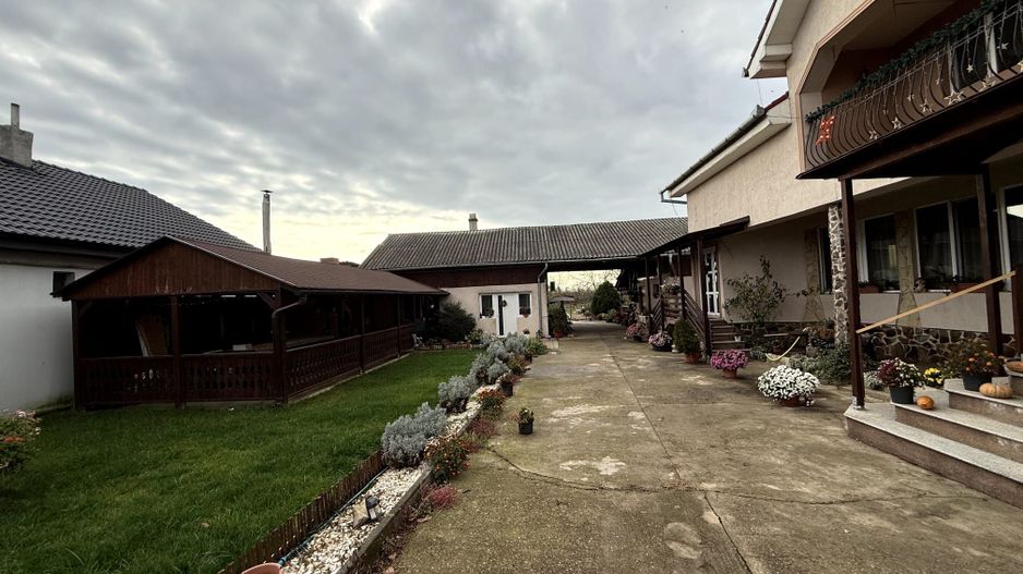 Proprietate impresionanta de vanzare cu mult teren in Santandrei - Poză 2