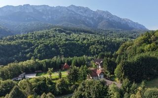 Vila de vanzare Plaiul Foii - ocazie unica! - Poză 6