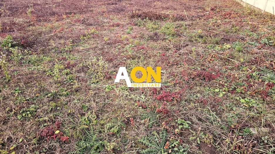 Teren intravilan construibil, toate utilitatile, 650 mp, Cetate - Poză 1