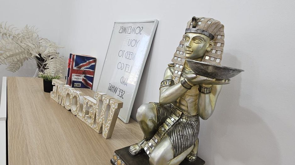 Inchriere apartament 2 camere - Unirii - Poză 12