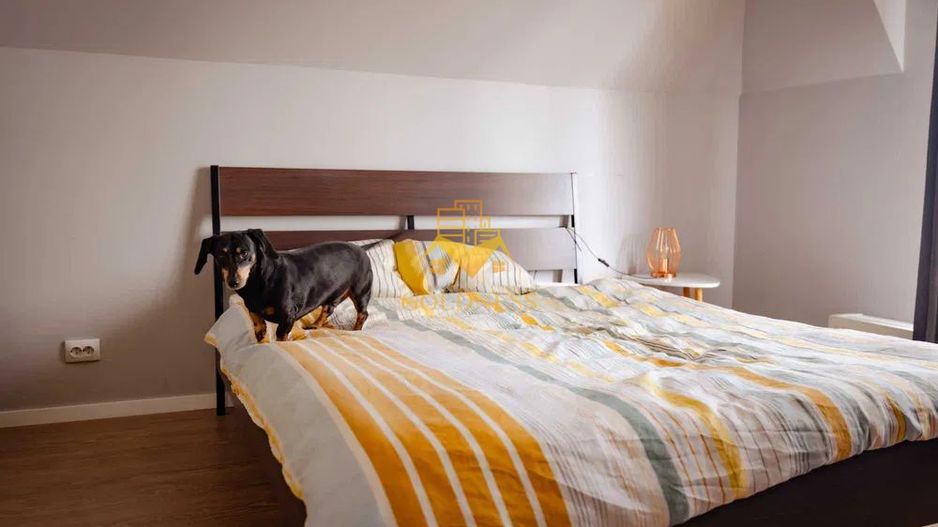 3 camere open space, parcare, Calea Turzii, Europa, Pet Friendly - Poză 6