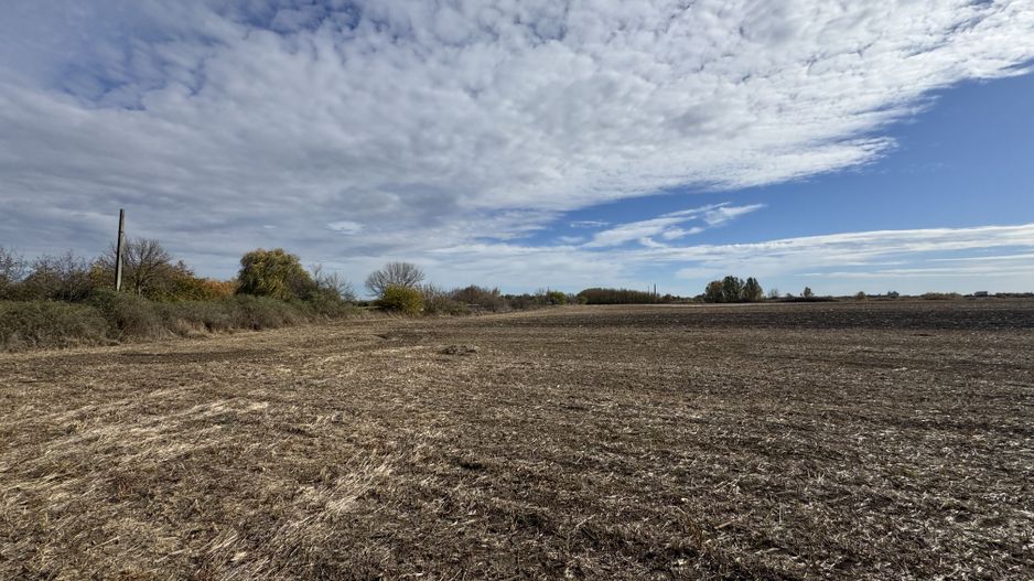 Vand Teren Extravilan Biled(zona industriala) 25.000mp,F.S la DN6 - Poză 3