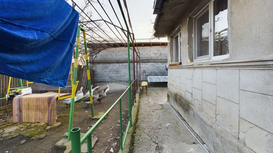 Casa modesta, 2500 mp teren, Domnesti - Poză 10