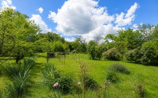 Nu este doar o vilă. Este refugiul tău verde cu 38 ari și pădurice proprie! - Poză 9