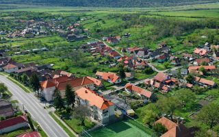 Casa eleganta, curte amenajata, garaj, Brancovenesti, Mures - Poză 7