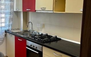 Închiriez Ap..2 camere Podu Roș, Aleea Rozelor et.1 - Poză 3