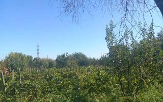Casă de vânzare în Comuna Costuleni, județul Iași - Poză 2