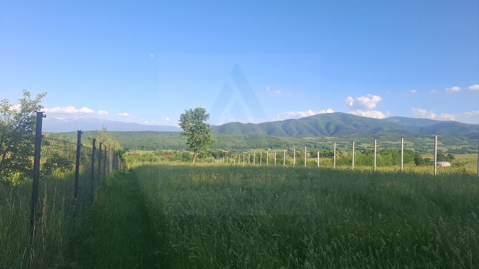 Teren intravilan 809 mp cu deschidere 14 m în Tropinii Noi - Poză 16
