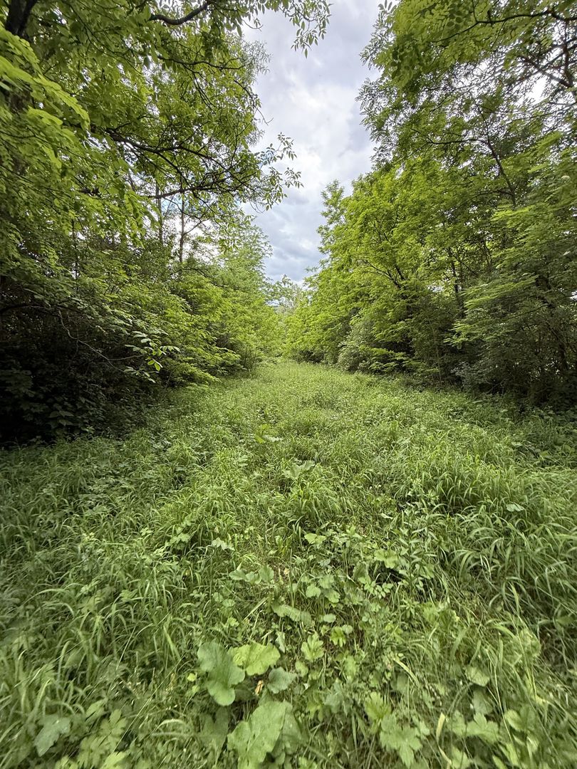 Teren plat-intravilan -3800 mp, cu pădurice și ieșire la râu! - Poză 23
