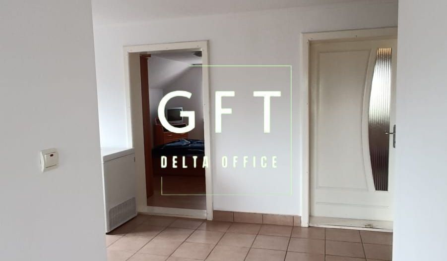 Casa cu spatiu comercial Chintelnic - Poză 11