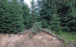 Teren 19,500 mp (1,95 Ha)-curent-ideal cabane-Colibita - Poză 2