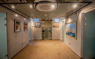 Vilă istorică de vânzare în Peninsula Constanța - Poză 29