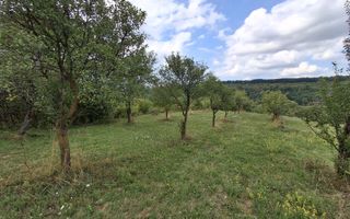 De vânzare teren extravilan în Sibiel, jud. Sibiu – 3223 mp - Poză 7